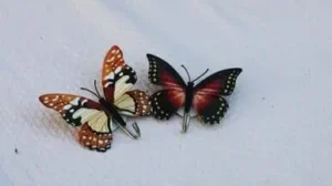 mariposas artificiales lo artificial por encima de lo natural