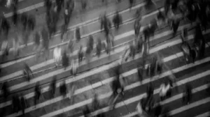 personas en paso cebra simbolizando donde estamos como sociedad avance o retroceso