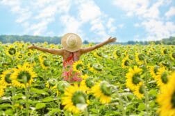 sunflowers, sunflower field, woman, sunny, nature, sunflowers, sunflowers, sunflowers, sunflowers, sunflowers, sunflower field, woman, sunny, sunny, sunny, nature